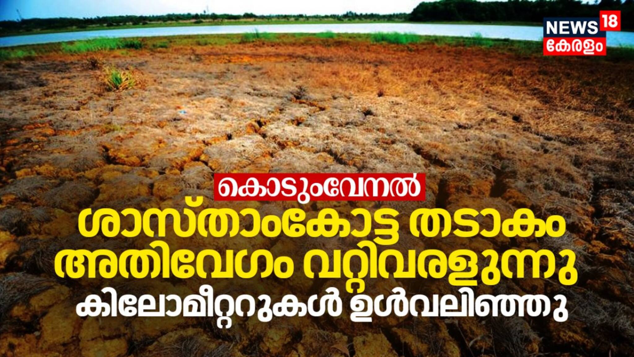 കൊടുംവേനൽ: ശാസ്താംകോട്ട തടാകം അതിവേഗം വറ്റിവരളുന്നു, കിലോമീറ്ററുകൾ ഉൾവലിഞ്ഞു