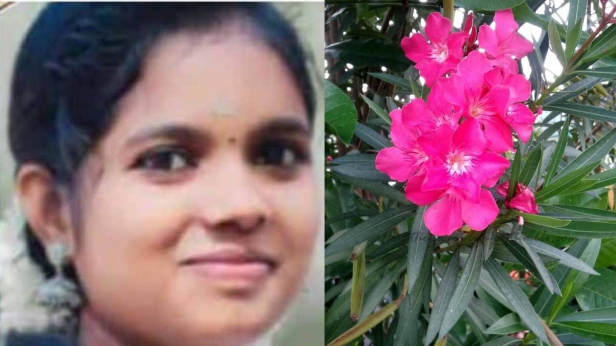 യുവതിയുടെ ജീവനെടുത്തത് ഫോൺ ചെയ്യുന്നതിനിടെ കടിച്ച അരളിപ്പൂവോ?
