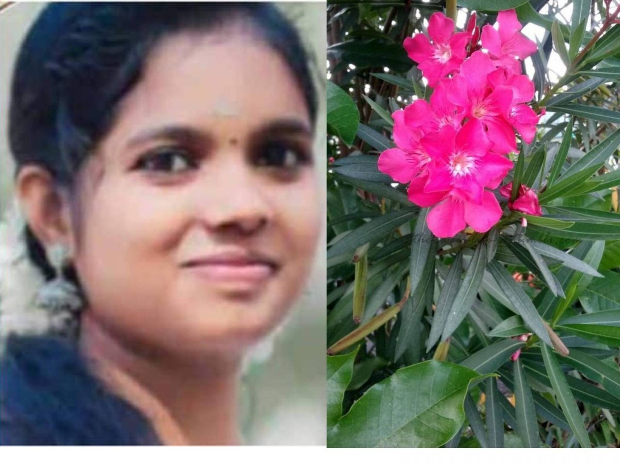 യുവതിയുടെ ജീവനെടുത്തത് ഫോൺ ചെയ്യുന്നതിനിടെ കടിച്ച അരളിപ്പൂവോ?
