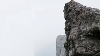 (Image: Unsplash) (Image: Unsplash)