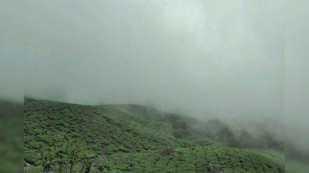 June Weather Shift in Munnar: Climate concerns and tourist curiosity ...