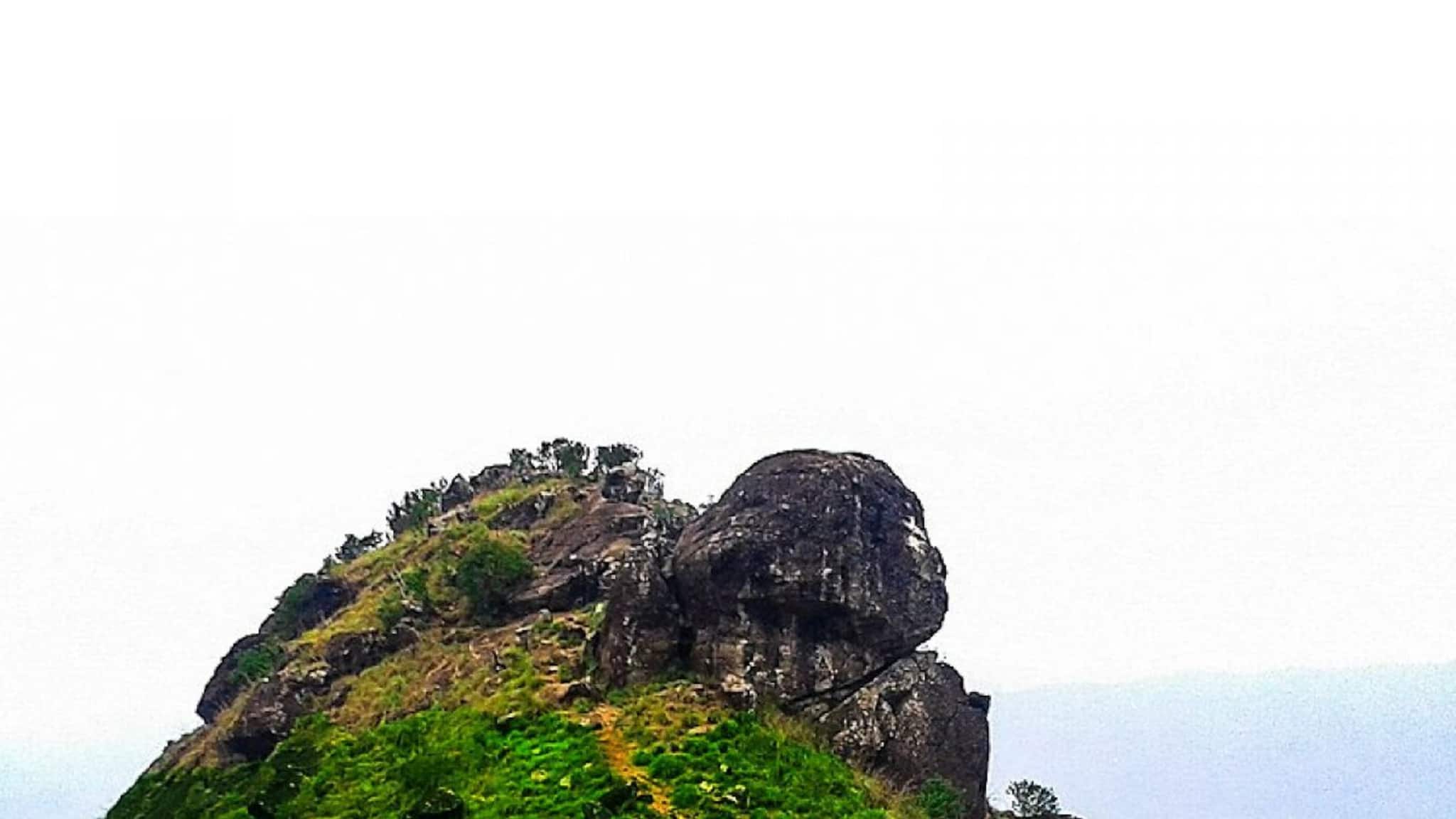 കാസർക്കോടിന്റെ റാണിപുരം: പ്രകൃതി സൗന്ദര്യത്തിന്റേയും ജൈവവൈവിധ്യത്തിന്റേയും സ്വപ്നഭൂമി കാസർക്കോടിന്റെ റാണിപുരം: പ്രകൃതി സൗന്ദര്യത്തിന്റേയും ജൈവവൈവിധ്യത്തിന്റേയും സ്വപ്നഭൂമി