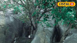 ദ്രവ്യ പാറ