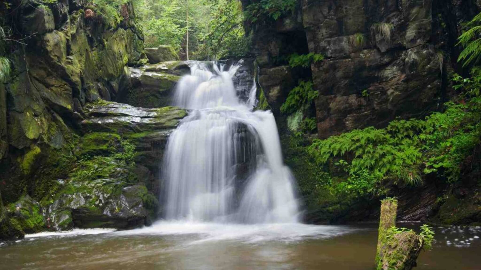 കടവുപുഴ വെള്ളച്ചാട്ടം: പ്രകൃതിയുടെ സൗന്ദര്യവും അപകടവും ഒരുപോലെ ചേരുന്ന ആകർഷണം