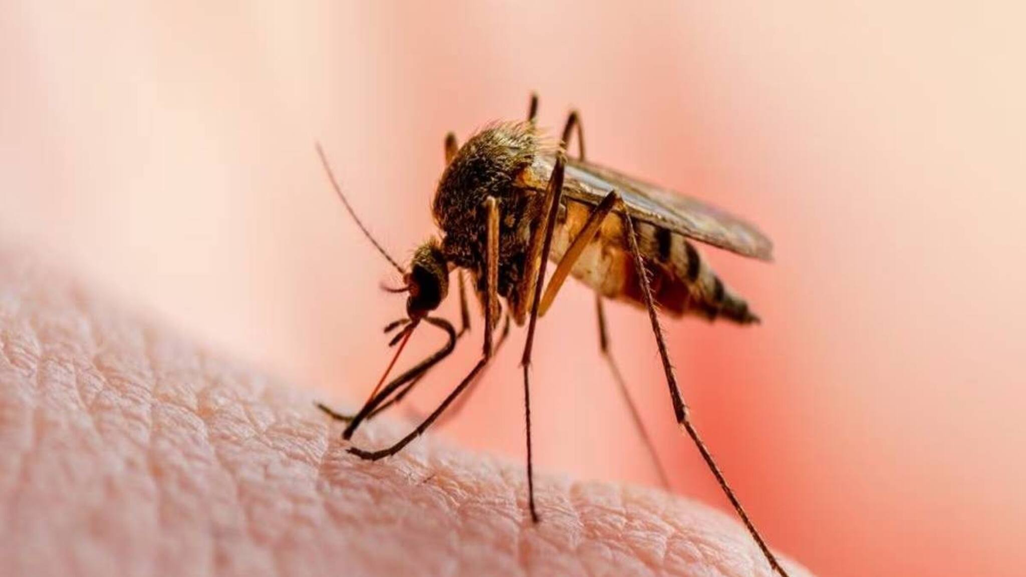 World Mosquito day; ഇന്ത്യയിലെ കൊതുക് ജന്യ രോഗവ്യാപനവും അവ നിയന്ത്രിക്കാനുള്ള നൂതനാശയങ്ങളും