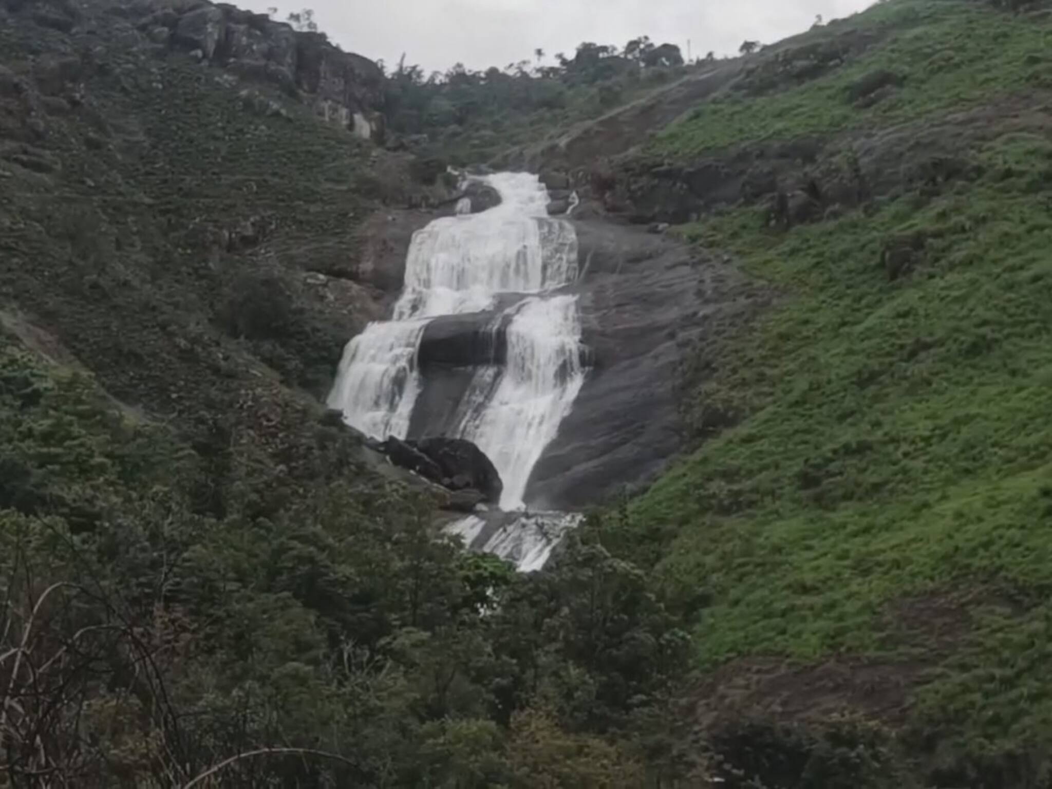 മഴ കനത്തതോടെ തിമിർത്തുല്ലസിച്ച് പാലൊഴുകുംപാറ; പച്ചപുതച്ച് കൂടുതൽ സുന്ദരിയായി വാഗമൺ