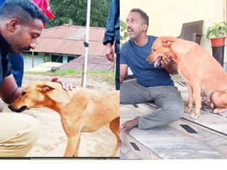 കുവി അന്നും ഇന്നും
