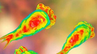 പ്രതീകാത്മക ചിത്രം