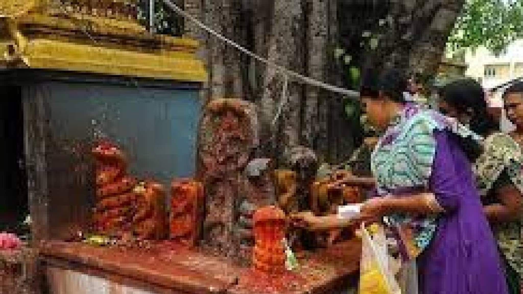 നാഗപഞ്ചമി; ശ്രാവണമാസത്തിലെ ഈ ദിവസത്തിന്റെ സവിശേഷതകൾ