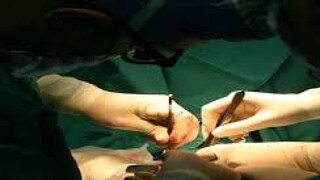 പ്രതീകാത്മക ചിത്രം