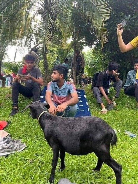  ചിലര്‍ പ്രധാനമന്ത്രിയുടെ വസതിയിലെ സോഫയിൽ ഇരിക്കുന്നതും അവിടെ ഇരുന്ന് ബിരിയാണി ആസ്വദിച്ച് കഴിക്കുന്നതും വീടിനടുത്തുള്ള പൂന്തോട്ടത്തില്‍ നിന്ന് തേങ്ങ മോഷ്ടിക്കുന്നതായും പ്രചരിക്കുന്ന വീഡിയോകളിൽ കാണാം.