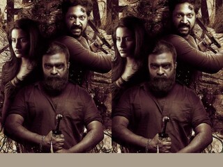 സിക്കാഡ