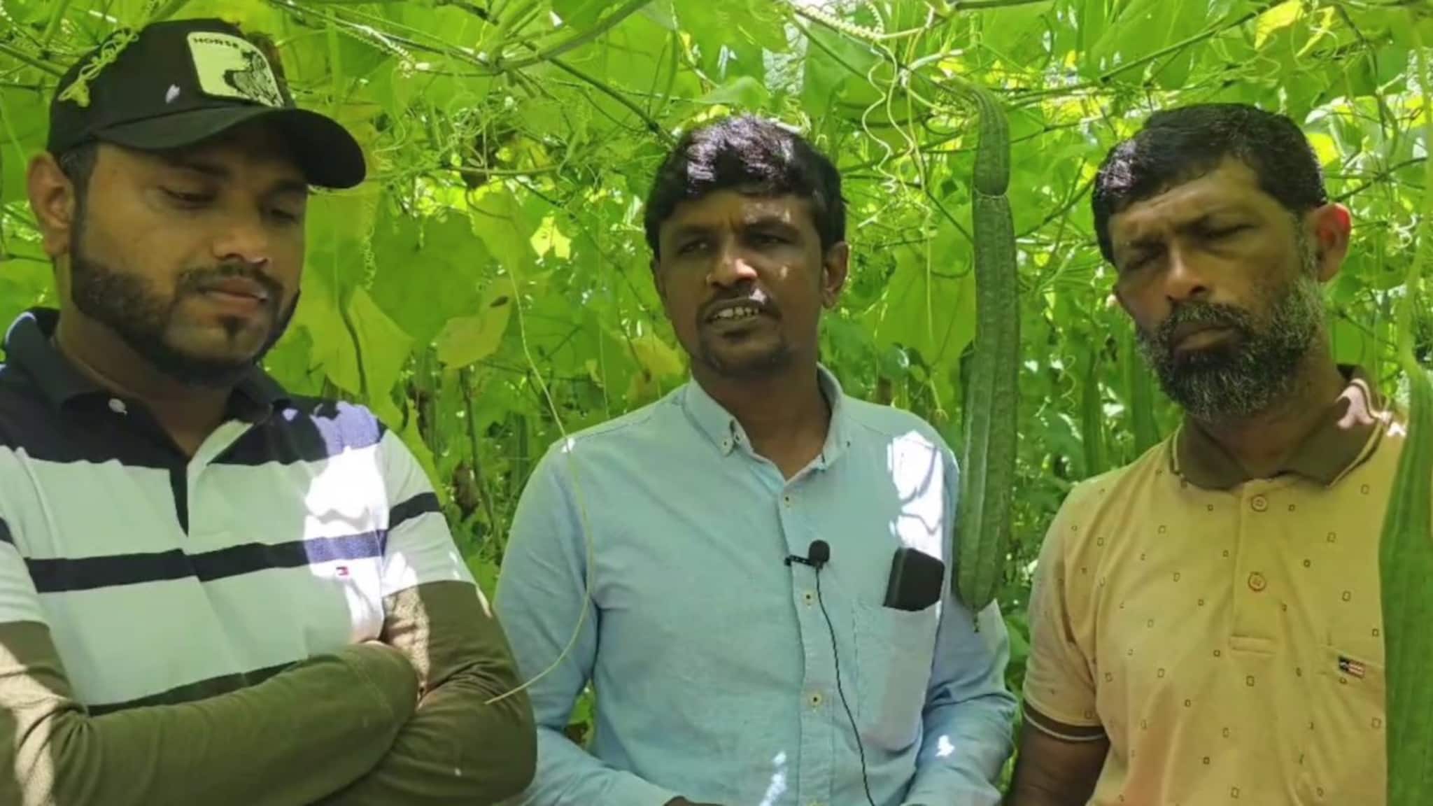 ഇത്തവണ പീച്ചിങ്ങ ഓണം; ഓണവിപണിയിൽ നൂറുമേനി കൊയ്യ്തു മൂന്നംഗ സുഹ്യത്തു സംഘത്തിൻ്റെ പീച്ചിങ്ങക്കൃഷി ഇത്തവണ പീച്ചിങ്ങ ഓണം; ഓണവിപണിയിൽ നൂറുമേനി കൊയ്യ്തു മൂന്നംഗ സുഹ്യത്തു സംഘത്തിൻ്റെ പീച്ചിങ്ങക്കൃഷി