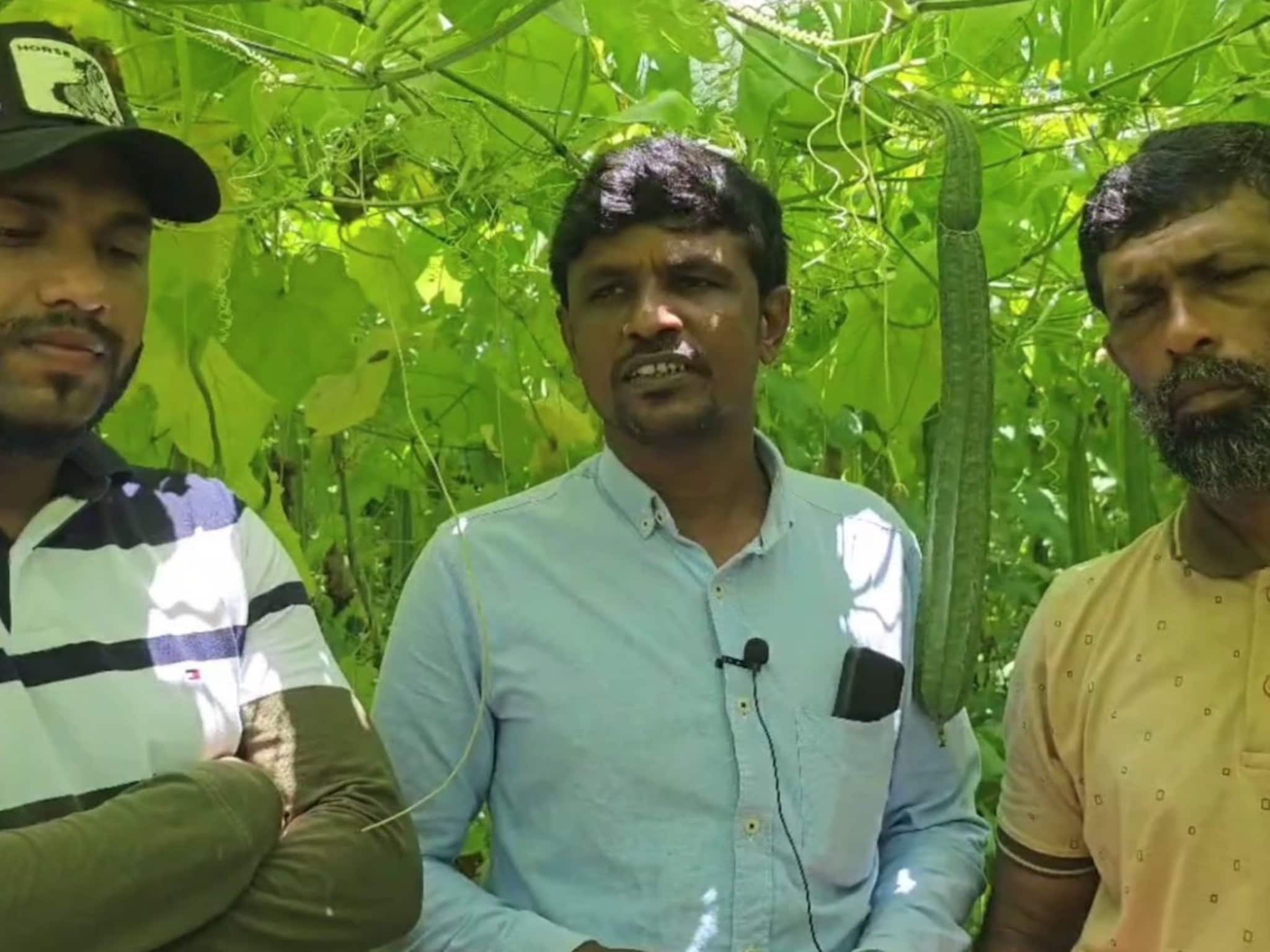 ഇത്തവണ പീച്ചിങ്ങ ഓണം; ഓണവിപണിയിൽ നൂറുമേനി കൊയ്യ്തു മൂന്നംഗ സുഹ്യത്തു സംഘത്തിൻ്റെ പീച്ചിങ്ങക്കൃഷി