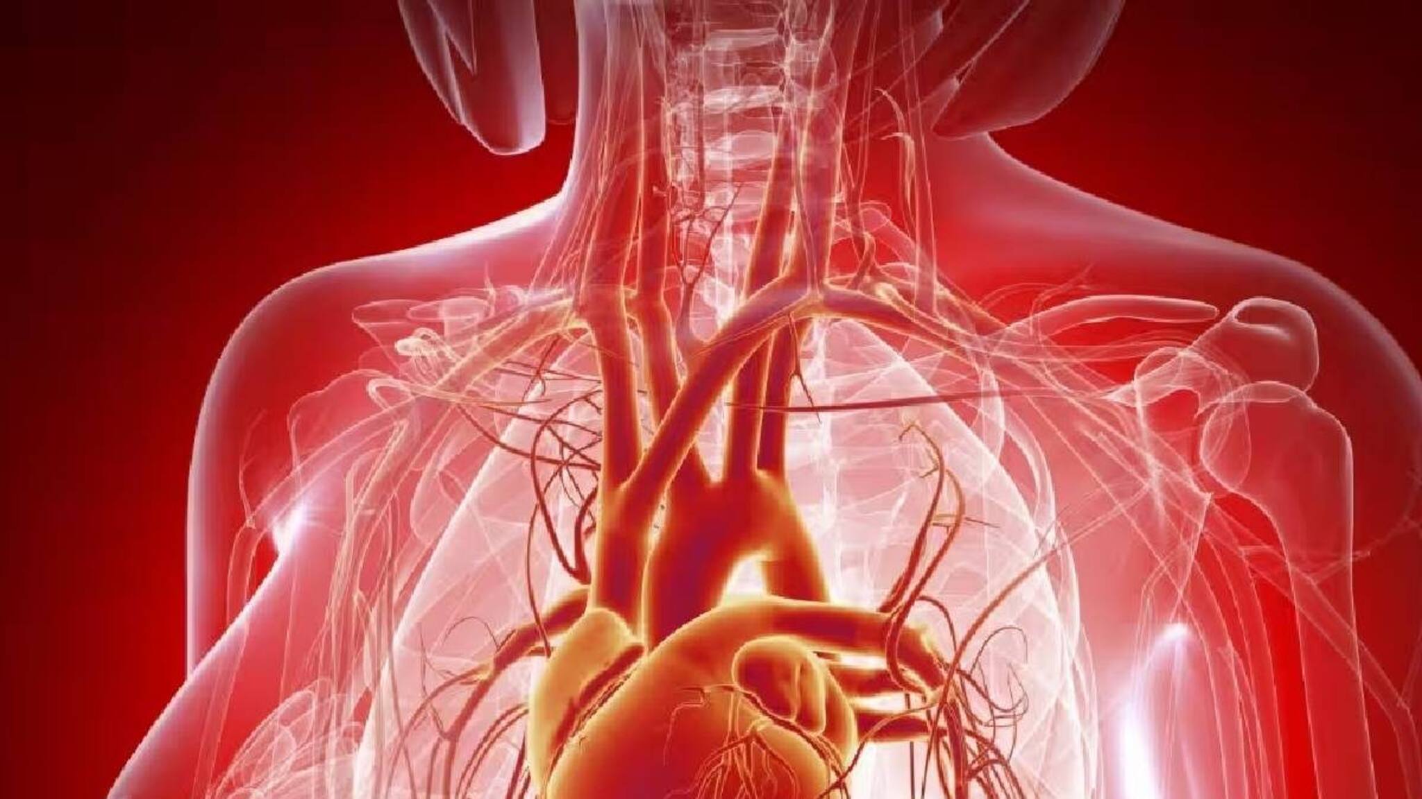 ആര്ത്തവവിരാമത്തിന് ശേഷം ഹൃദയാരോഗ്യത്തിനായി സ്ത്രീകള് ചെയ്യേണ്ട പ്രധാന വ്യായാമങ്ങള് ആര്ത്തവവിരാമത്തിന് ശേഷം ഹൃദയാരോഗ്യത്തിനായി സ്ത്രീകള് ചെയ്യേണ്ട പ്രധാന വ്യായാമങ്ങള്