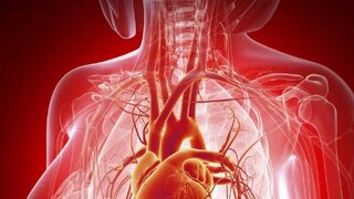 പ്രതീകാത്മക ചിത്രം പ്രതീകാത്മക ചിത്രം