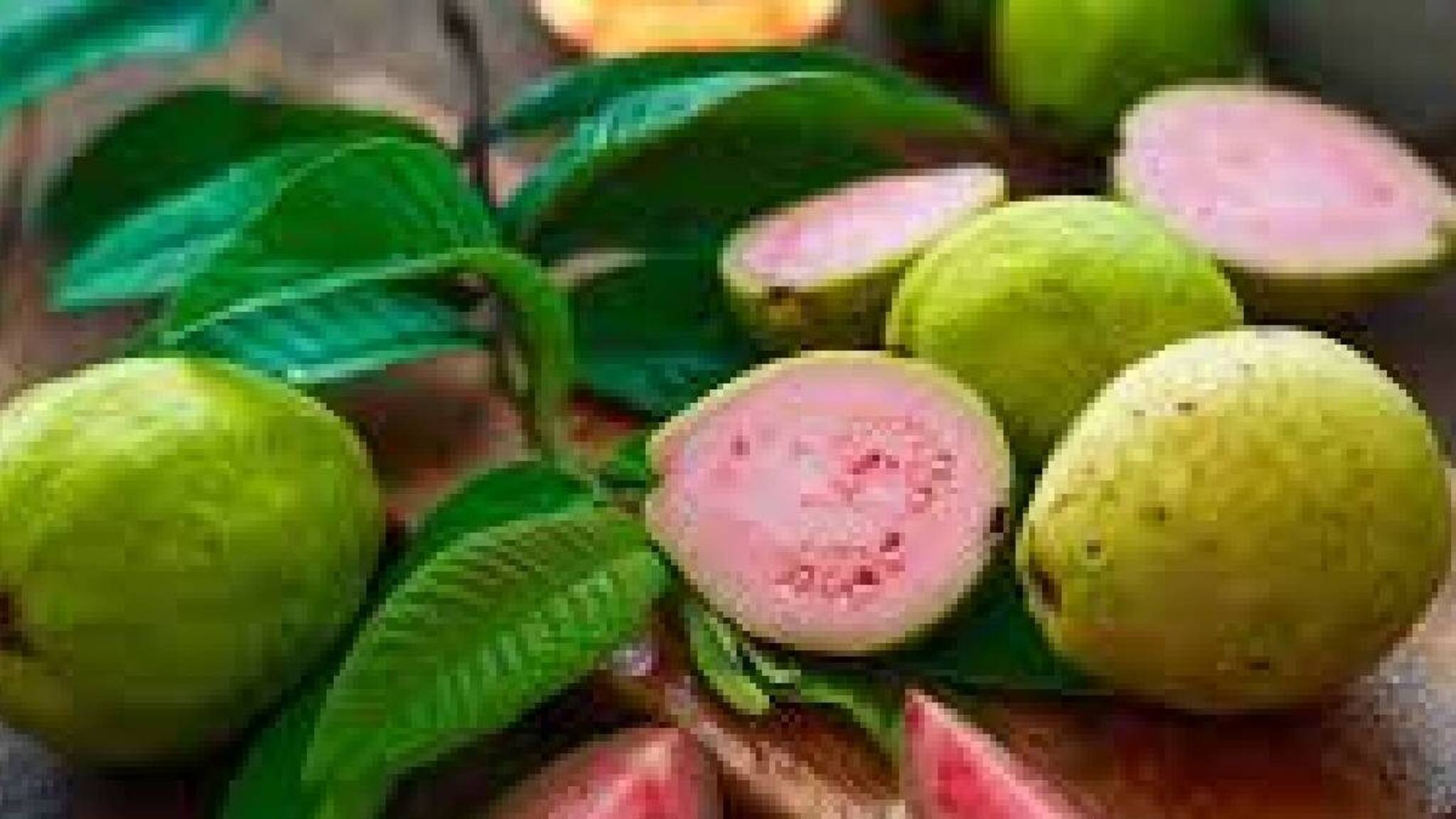 പേരയ്ക്കയും പേരയിലയും ദിവസവും കഴിക്കുന്നത് കൊണ്ടുള്ള 7 ഗുണങ്ങള്‍