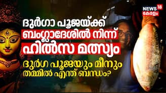 ദുർഗാ പൂജയ്ക്ക് ബംഗ്ലാദേശിൽ നിന്ന് ഹിൽസ മത്സ്യം; ദുർഗ പൂജയും മീനും തമ്മിൽ എന്ത് ബന്ധം?