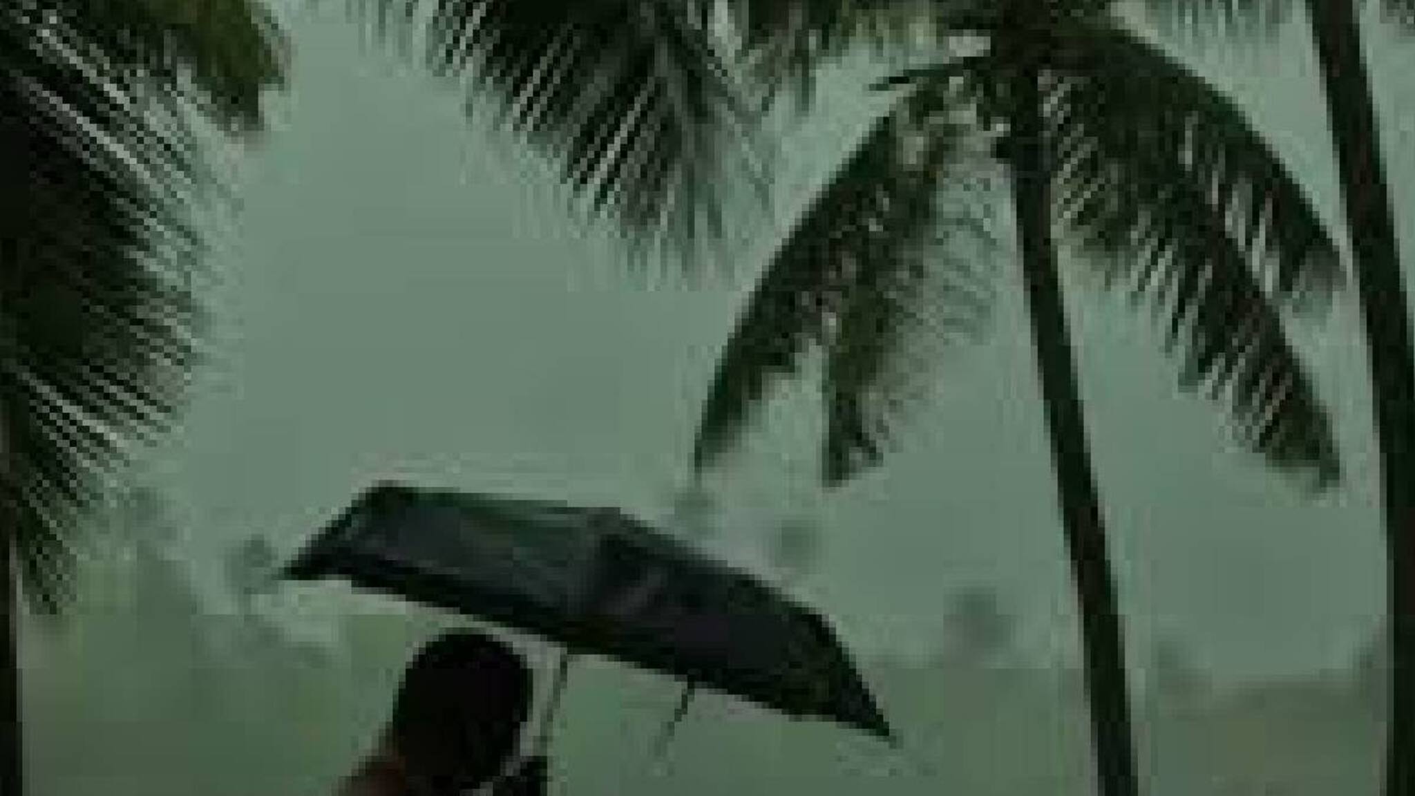Kerala Weather Updates | ബം​ഗാൾ ഉൾക്കടലിൽ ന്യൂനമർദം; സംസ്ഥാനത്ത് വീണ്ടും മഴ ശക്തമാകുന്നു