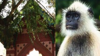 File Photo File Photo