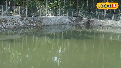 തവളയില്ലാ കുളം തവളയില്ലാ കുളം