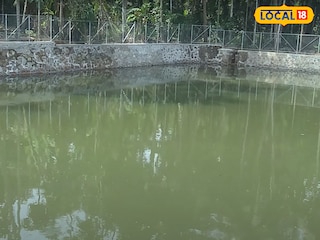 തവളയില്ലാ കുളം തവളയില്ലാ കുളം