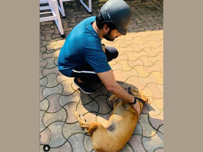 ഇക്കഴിഞ്ഞ ഓഗസ്റ്റ് മാസത്തിൽ ഗോപി സുന്ദർ ഇൻസ്റ്റാഗ്രാം പേജിൽ പോസ്റ്റ് ചെയ്ത ഒരു ചിത്രമാണിത്. ഈ നായ്ക്കുട്ടിയാണോ കല്യാണി എന്ന് വ്യക്തമല്ല. ഒരുപക്ഷേ മുന്തിയ ഇനം നായ്ക്കുട്ടികളുടെ ഇടയിലേക്ക് നാട്ടിൽ വളർന്ന കല്യാണി എത്തിയതുമാകാം. ഗോപി സുന്ദർ അടുത്തതായി ഫെയ്‌സസ് എന്ന മലയാള സിനിമയ്ക്ക് സംഗീതം നൽകും. ഫസ്റ്റ് ലുക്ക് പോസ്റ്ററിലൂടെ തന്നെ ഏറെ ശ്രദ്ധ നേടിയ ചിത്രമാണിത്. ഹന്നാ റെജി കോശിയും കലേഷ് രാമാനന്ദും ചിത്രത്തിലെ നായികാ നായക വേഷങ്ങൾ കൈകാര്യം ചെയ്യുന്നു 