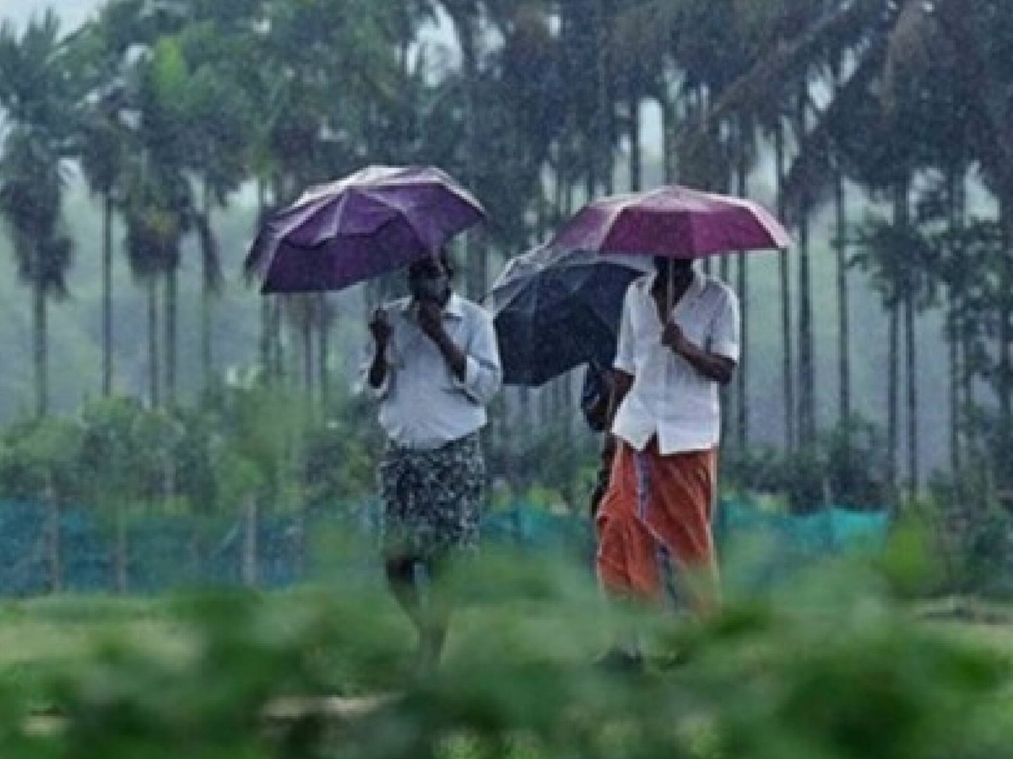 Kerala Weather Update|ന്യൂനമർദം: വടക്കൻ കേരളത്തിൽ മഴ ശക്തമാകും; 9 ജില്ലകളിൽ യെല്ലോ അലർട്ട്