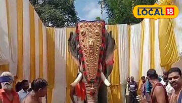 റോബോർട്ട്