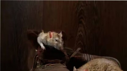 പ്രതീകാത്മക ചിത്രം പ്രതീകാത്മക ചിത്രം