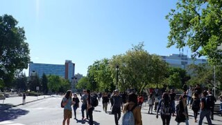 (Shutterstock Photo)