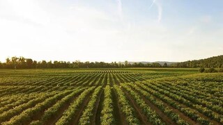 (പ്രതീകാത്മക ചിത്രം) (പ്രതീകാത്മക ചിത്രം)