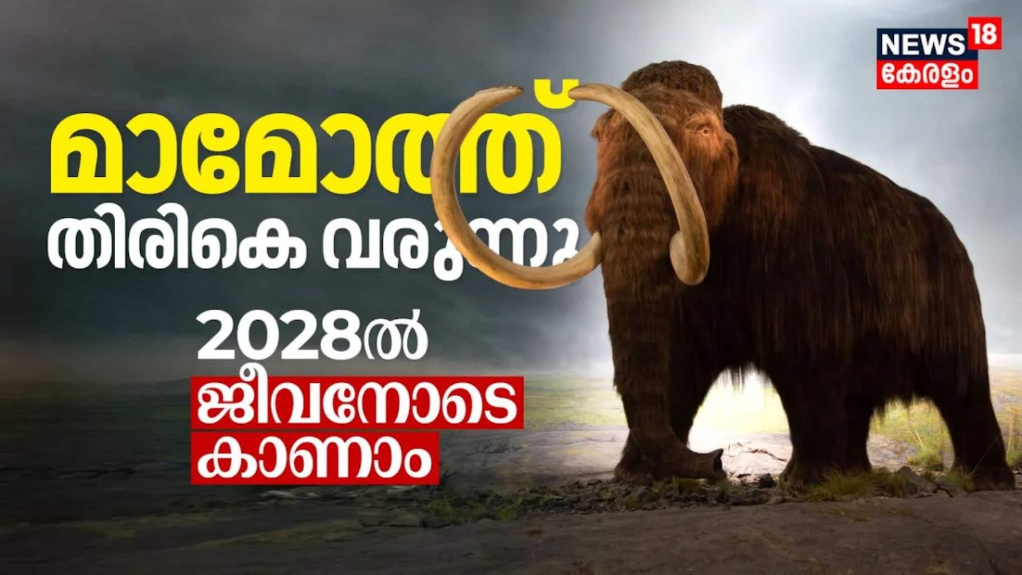 വംശനാശം സംഭവിച്ച മാമോത്തുകൾ തിരികെ വരുന്നു, 2028ൽ ജീവനോടെ കാണാം