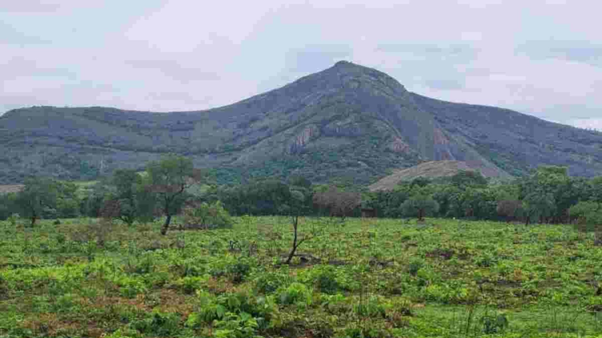 പാലക്കാട് 30 കോടിയുടെ ക്രിക്കറ്റ് സ്‌പോര്‍ട്‌സ് ഹബ് സ്റ്റേഡിയം നിർമിക്കാൻ KCA; ജനുവരിയില്‍ നിർമാണം തുടങ്ങും