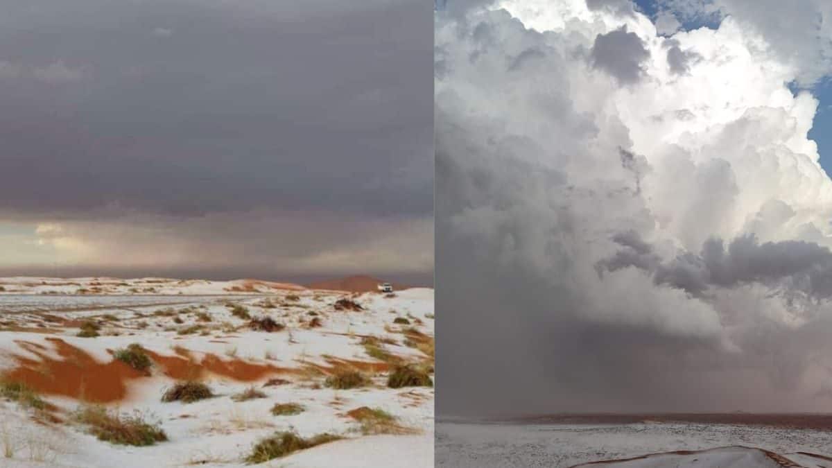 Saudi Fall Saudi Arabian desert snowfall:വെള്ളപ്പരവതാനി പുതച്ച് അറേബ്യന് മരുഭൂമി ...