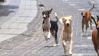 പ്രതീകാത്മക ചിത്രം പ്രതീകാത്മക ചിത്രം