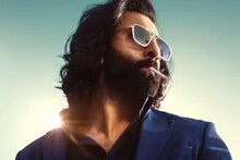 ആക്ഷന്റെയും വയലൻസിന്റെയും 'അനിമൽ' അവതാരം; റെക്കോർഡുകൾ തകർക്കാൻ അനിമൽ മൂന്നാം ഭാഗം എത്തും സ്ഥിരീകരിച്ച് രൺബീർ കപൂർ