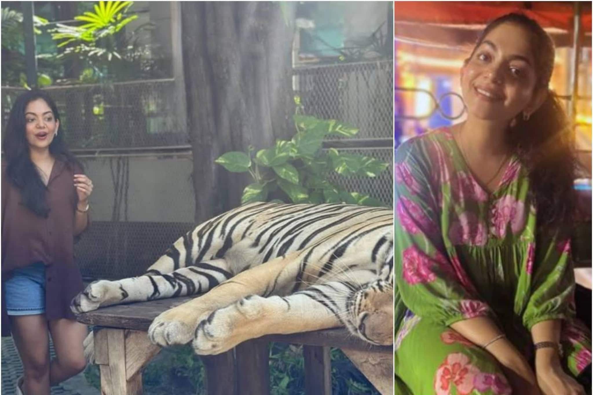 Ahaana | തലോടാൻ ചെന്നു; അഹാന കൃഷ്ണയെ ഞെട്ടിവിറപ്പിച്ച് കടുവയുടെ അപ്രതീക്ഷിത പ്രതികരണം