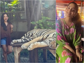 Ahaana | തലോടാൻ ചെന്നു; അഹാന കൃഷ്ണയെ ഞെട്ടിവിറപ്പിച്ച് കടുവയുടെ അപ്രതീക്ഷിത പ്രതികരണം