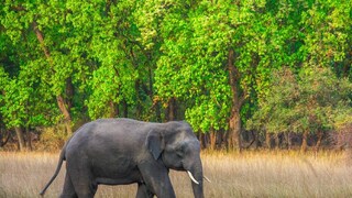 പ്രതീകാത്മക ചിത്രം