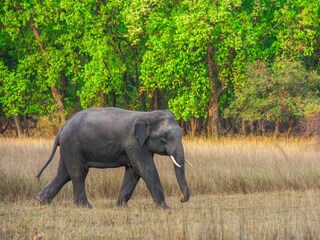 പ്രതീകാത്മക ചിത്രം