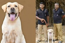 പൊലീസ് സേനയോടൊപ്പം ഏഴുവർഷം; ഡിജിപിയുടെ പുരസ്കാരം നേടിയ ഹണി ഓർമയായി