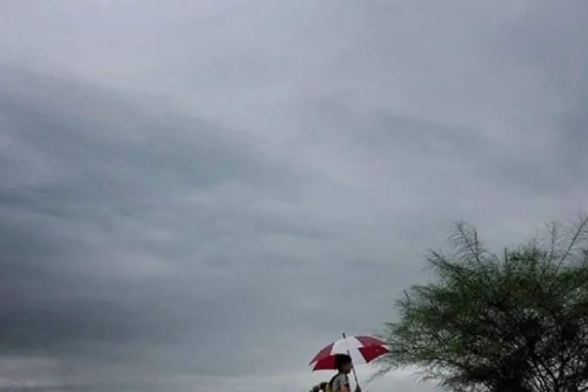 Kerala Weather Update | കേരളത്തിൽ ഇടിമിന്നലോടു കൂടിയ മഴയ്ക്കും ശക്തമായ കാറ്റിനും സാധ്യത; 3 ജില്ലകളിൽ ഓറഞ്ച് അലർട്ട്