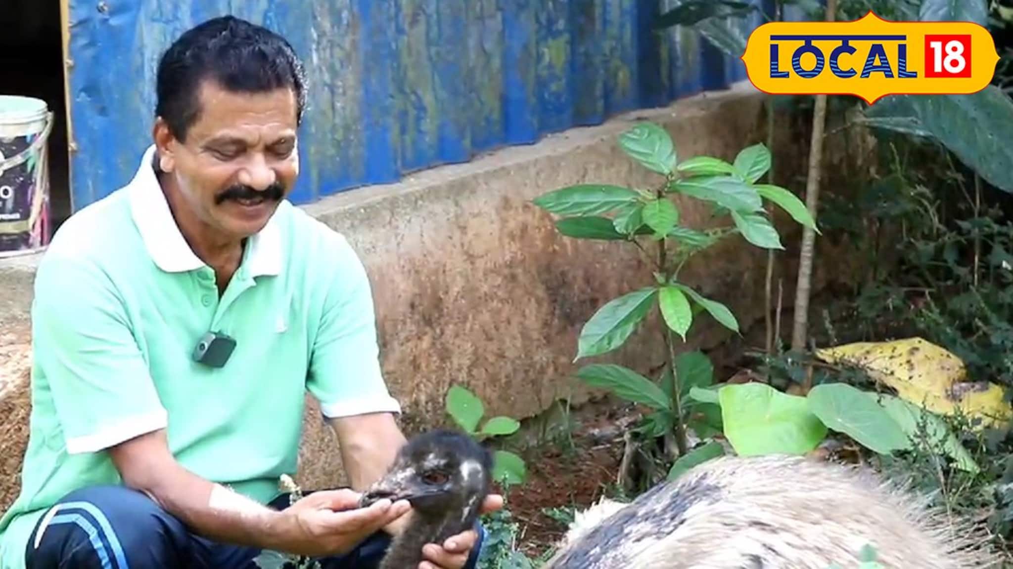 പട്ടിയും പൂച്ചയുമൊന്നും വേണ്ട, എമു മതി; വ്യത്യസ്തമായ വിനോദവുമായി ഇബ്രാഹിം കുട്ടി