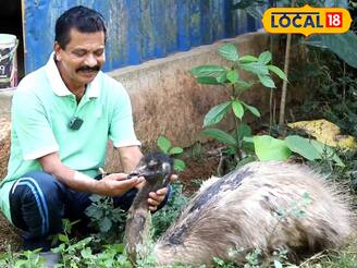 പട്ടിയും പൂച്ചയുമൊന്നും വേണ്ട, എമു മതി; വ്യത്യസ്തമായ വിനോദവുമായി ഇബ്രാഹിം കുട്ടി