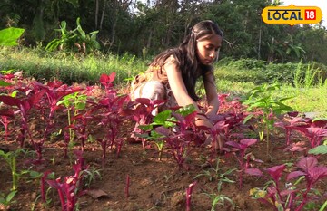 കാർഷിക മേഖലയിൽ അത്ഭുതങ്ങൾ തീർക്കുന്ന കോതമംഗലത്തെ കുട്ടിക്കർഷക