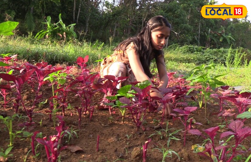  കാർഷിക മേഖലയിൽ വിസ്മയം തീർത്ത് കോതമംഗലത്ത് ഒരു കുട്ടിക്കർഷക. ഒന്നരയേക്കറിൽ നൂറുമേനി വിളയിച്ചാണ് ഈ കുട്ടിക്കർഷക ശ്രദ്ധയയായത്. കോതമംഗലം സെൻ്റ് അഗസ്റ്റിൻസ് ജിഎച്ച്എസ്എസ് ഒമ്പതാം ക്ലാസ് വിദ്യാർത്ഥിനിയും, രാമല്ലൂർ, താണിക്കൽ ജിസ് - സ്മിത ദമ്പതികളുടെ മകളുമായ അനുഗ്രഹയാണ് കാർഷിക മേഖലയിൽ അത്ഭുതങ്ങൾ തീർക്കുന്നത്.