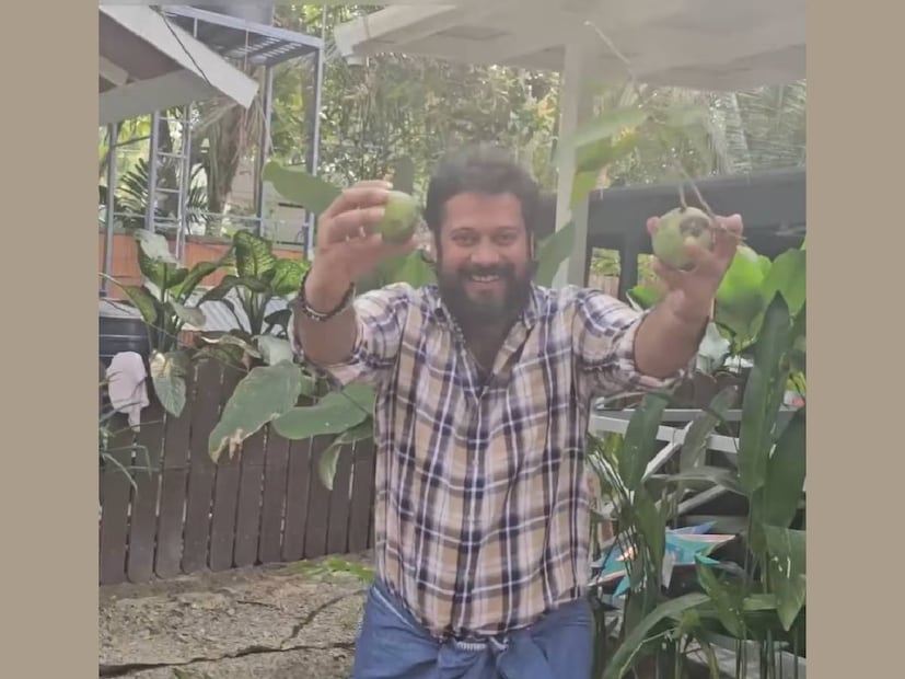 ബാലയുടെ വീട്ടുമുറ്റത്ത് ഒരു മാവ് വളർന്നു നിൽപ്പുണ്ട്. അതെന്തായാലും ബാലയുടെ കൈകൊണ്ടു നട്ടുപിടിപ്പിച്ചതാവാൻ സാധ്യതയില്ല. വളർന്നു വലുതായ ആ മാവിനെ മലയാളം പറയാൻ കഷ്‌ടപ്പെടുന്ന ബാല 'മാങ്ങാ മരം' എന്നാണ് വിളിക്കുന്നത്. മാവിന്റെ മുകളിൽ കയറാൻ ആരോഗ്യം അനുവദിച്ചില്ല എങ്കിലും, ബാല മുകളിൽ കയറാൻ ഒരാളെ ഏൽപ്പിച്ചിട്ടുണ്ട്. കുലച്ചു കായ്ച്ചു നിൽക്കുന്ന മാങ്ങ മുകളിൽ കയറിയ ആൾ നിലത്തേക്ക് പറിച്ചിട്ടതും, ബാല അത് ഉന്നം തെറ്റാതെ ഭംഗിയായി ക്യാച്ച് ചെയ്തു