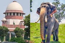 ക്ഷേത്രങ്ങളിലെ ആനയെഴുന്നള്ളിപ്പ് നിയന്ത്രണങ്ങൾക്കുള്ള സ്റ്റേ തുടരും