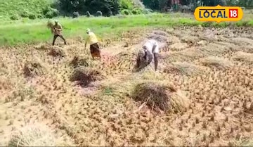 ജഗന്നാഥ